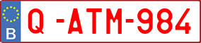 Trailer License Plate